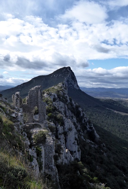 Montferrand 1 Disleur