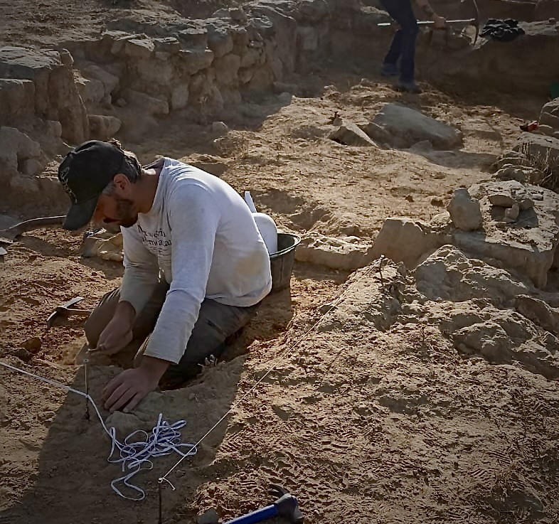 Agriculture : “L’apport des Arabes à notre alimentation dans le Midi a été déterminant”